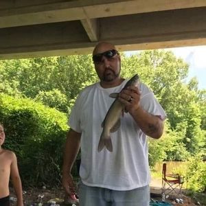 Meet your Posher, Antonio